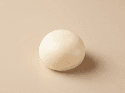 餅(Mochi (Plain))