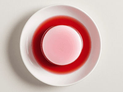 羊羹(Yokan (Red Bean Jelly))