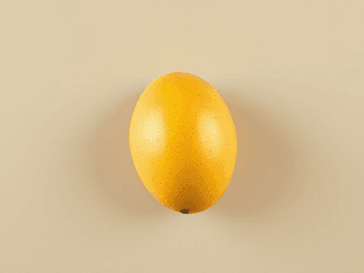 Ripe Mango